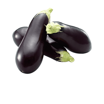 Aubergine 2er Pack
