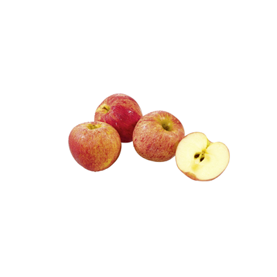 Äpfel Boskoop 1 kg