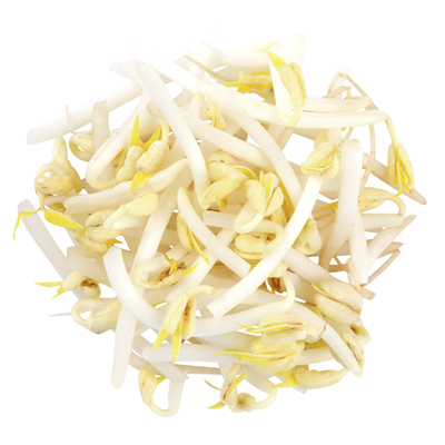 Mungobohnensprossen 500 g
