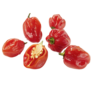 Chili Habanero Rot 50 g