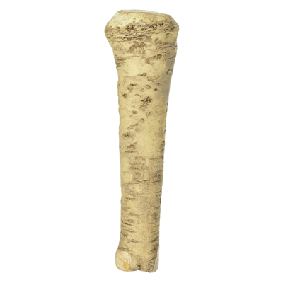 Meerrettich 1 kg
