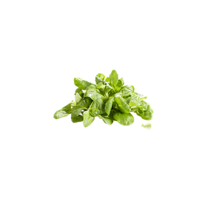 Feldsalat 150 g