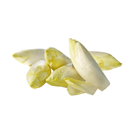 Chicoree 500 g