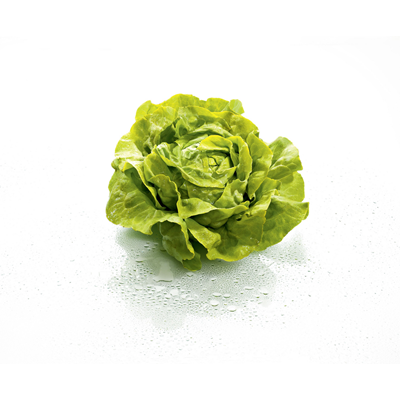 Kopfsalat gepackt