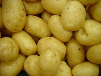 Kartoffel Küchenfertig