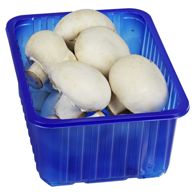 Champignon weiß 400 g