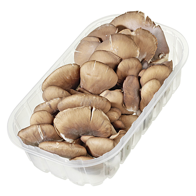 Austernpilzkappen 250 g