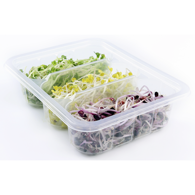 MC Radieschen Trio Sprossen 60 g