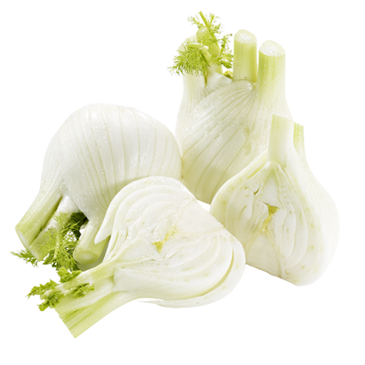 Fenchel 2er