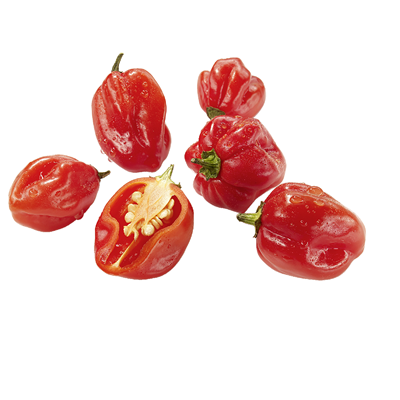 Chili Habanero Rot  50 g
