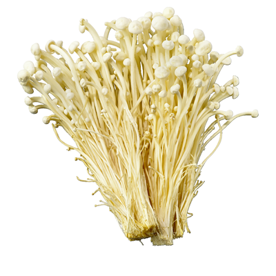 Niklas Enoki Pilze Südkorea  100 g