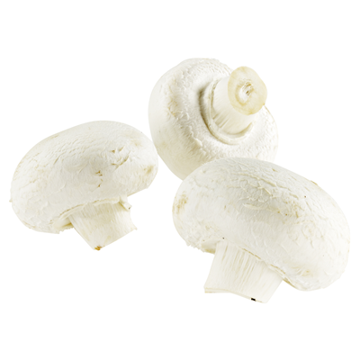 Champignon Riesen weiß 2kg
