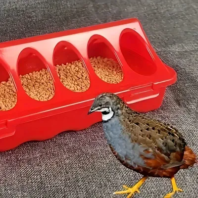 Zubehör