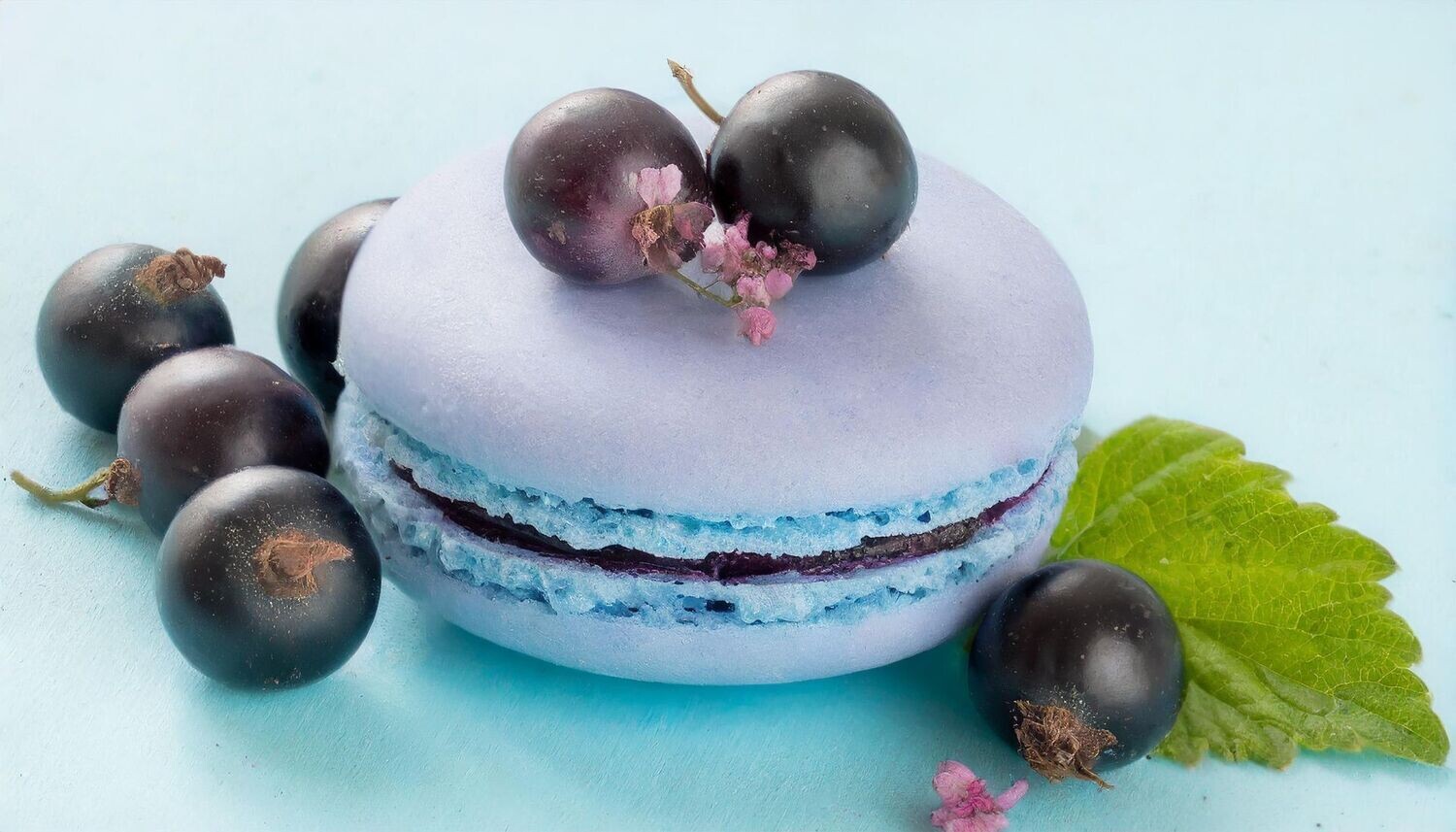 Macaron Cassis