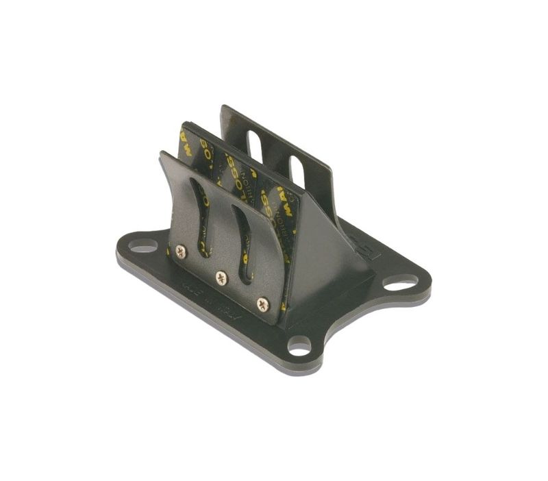 9. Reed Valve Malossi Carbon