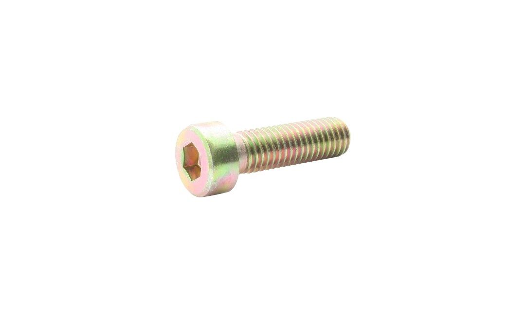 16. Bolt, Socket