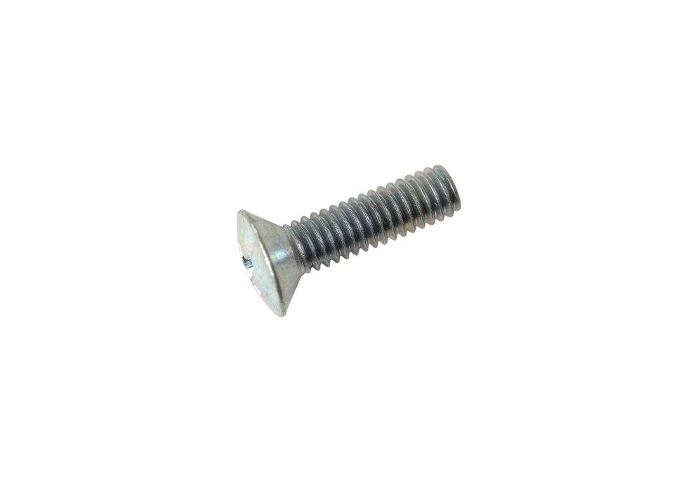 14. Screw, Oval