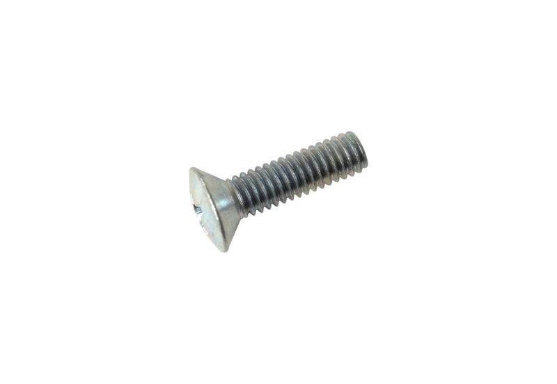 14. Screw, Oval