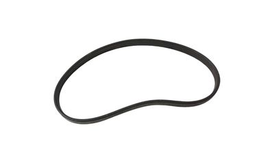 2. Gasket Dynamo