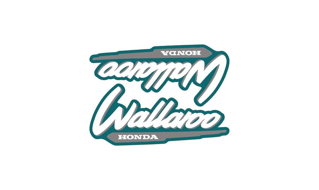 1996-2001 Wallaroo Set Green / Grey