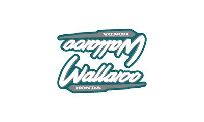 1996-2001 Wallaroo Set Green / Grey