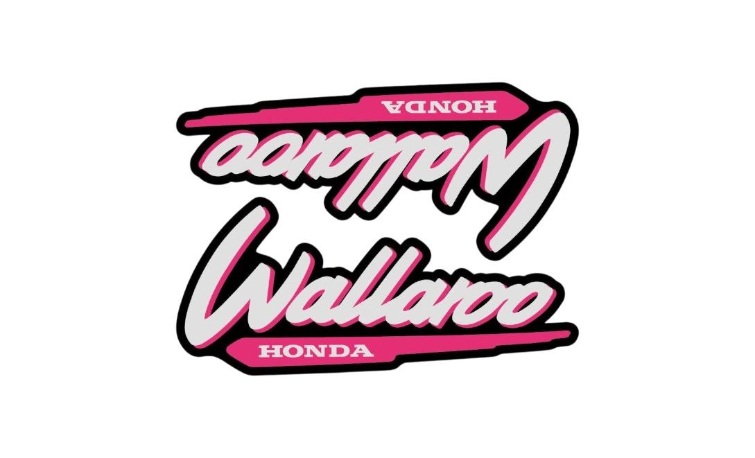 1996-2001 Wallaroo Set Pink