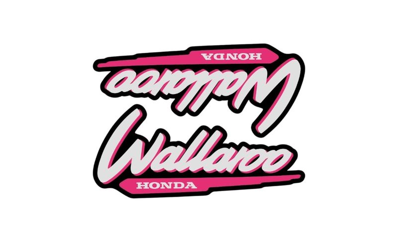 1996-2001 Wallaroo Set Pink