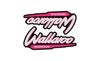 1996-2001 Wallaroo Set Pink