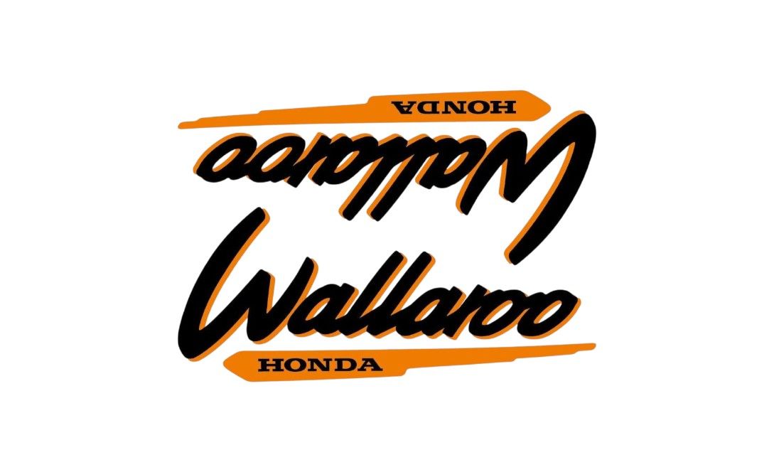 1996-2001 Wallaroo Set Black/Dark Yellow