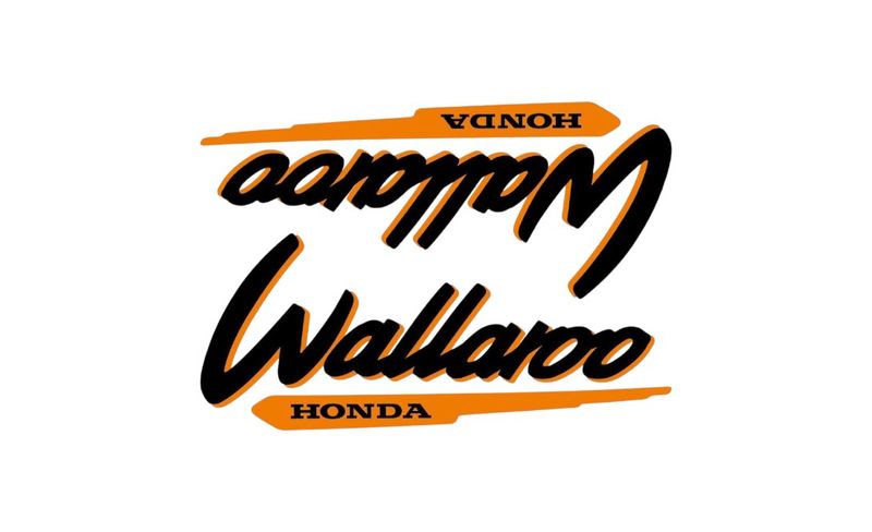 1996-2001 Wallaroo Set Black/Dark Yellow