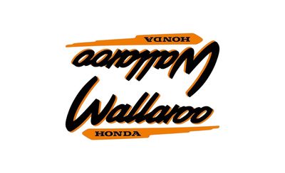 1996-2001 Wallaroo Set Black/Dark Yellow