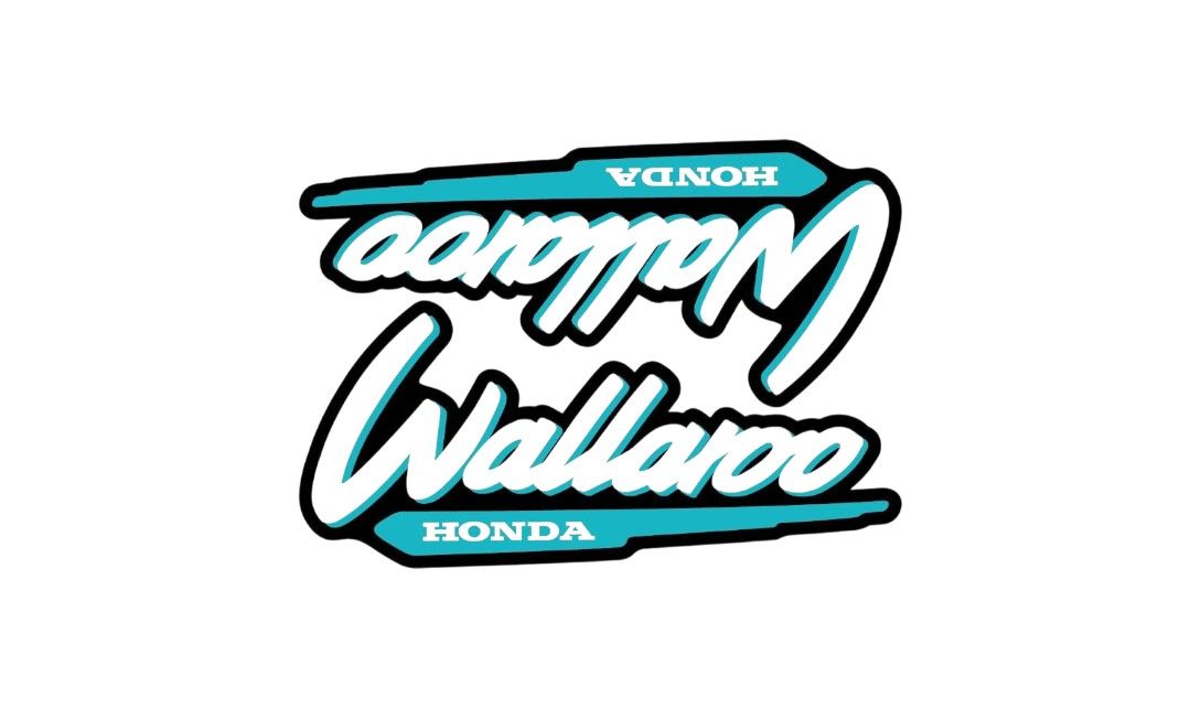 1996-2001 Wallaroo Set Black/Bluegreen