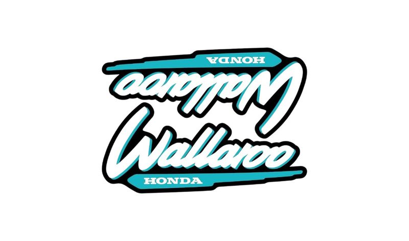 1996-2001 Wallaroo Set Black/Bluegreen