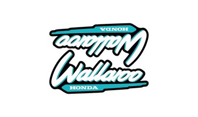 1996-2001 Wallaroo Set Black/Bluegreen