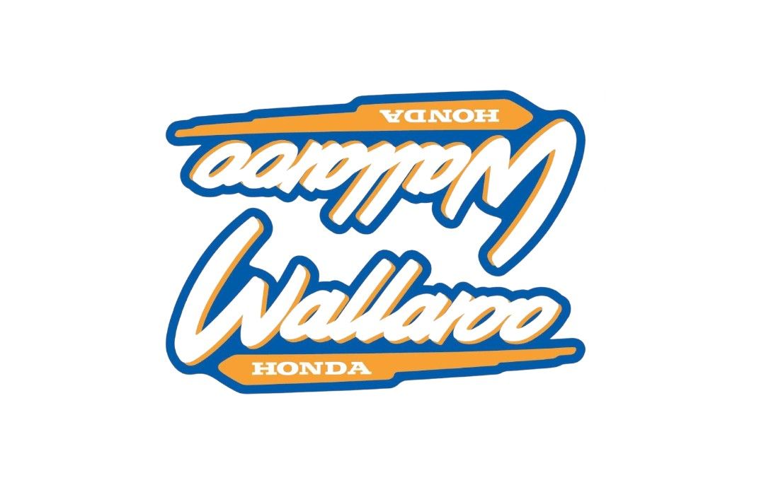 1996-2001 Wallaroo Set Dark Yellow