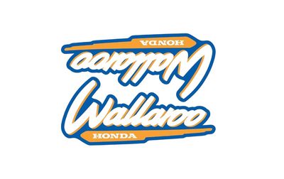 1996-2001 Wallaroo Set Dark Yellow