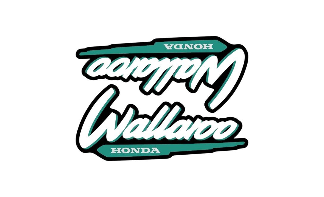 1996-2001 Wallaroo Set Black/Lightgreen