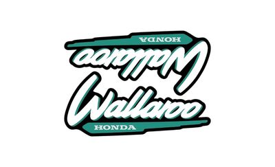 1996-2001 Wallaroo Set Black/Lightgreen