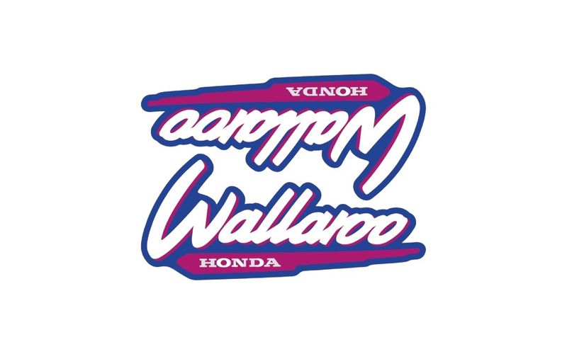 1996-2001 Wallaroo Set Purple