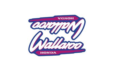 1996-2001 Wallaroo Set Purple
