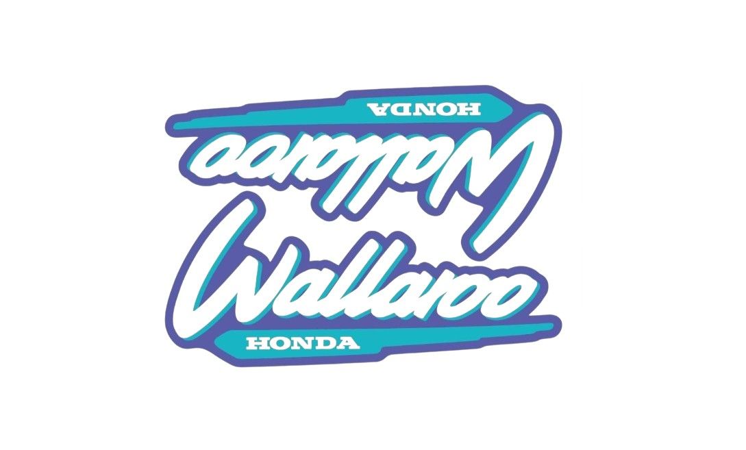 1996-2001 Wallaroo Set Purple/Blue