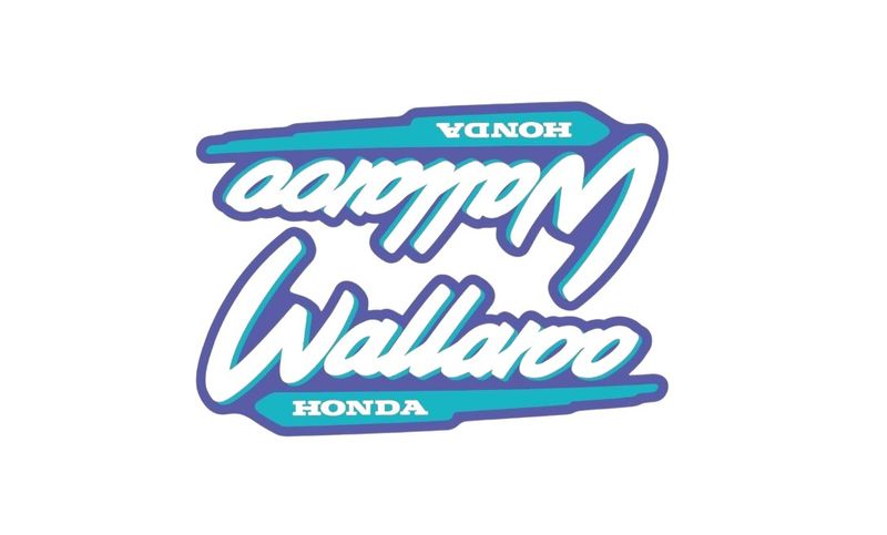 1996-2001 Wallaroo Set Purple/Blue