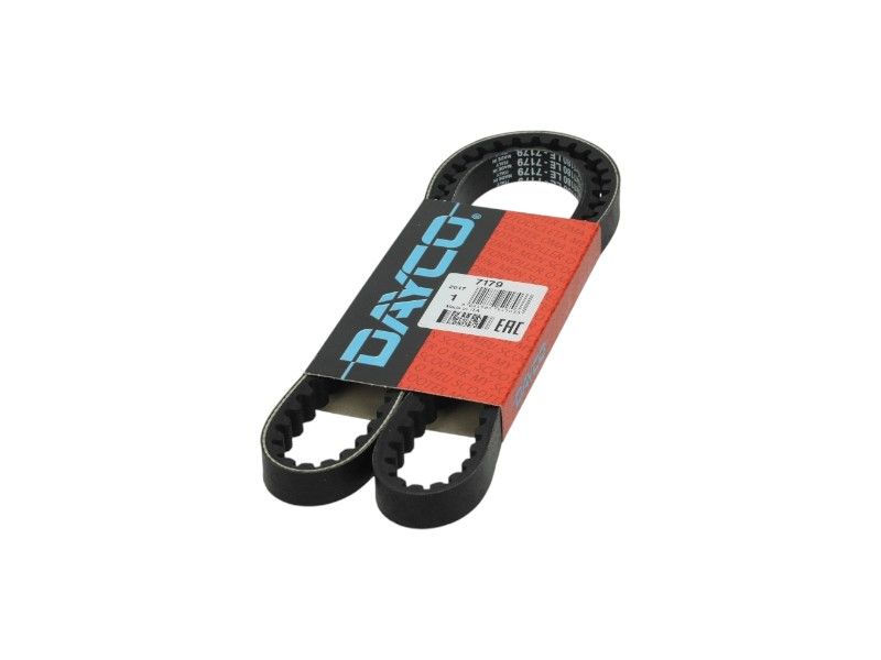 6. V-belt Dayco