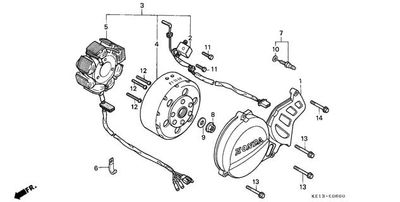 Left Crankcase Cover - Generator