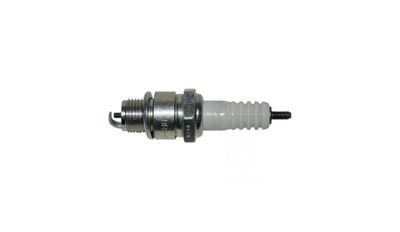 9. Spark Plug