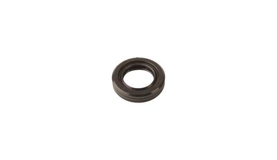 6. Oil Seal