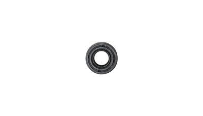 10. Oil Seal