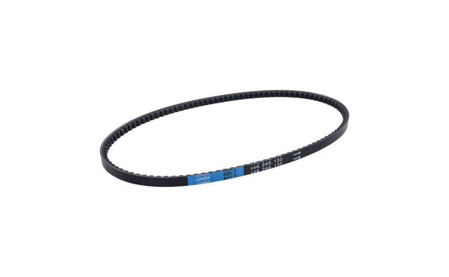 2. V-Belt Vario Polini