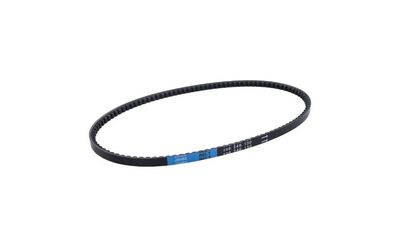 2. V-Belt Vario Polini