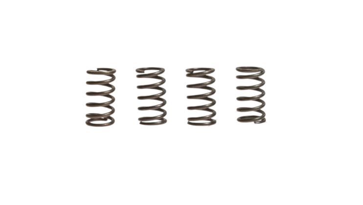 13. Spring Set Clutch EBC MTX 125
